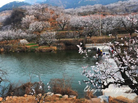 杏花村旅游度假区