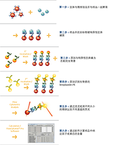 【烟台科瑞斯】产品推荐—链霉亲和素标记藻红蛋白（SA-PE）