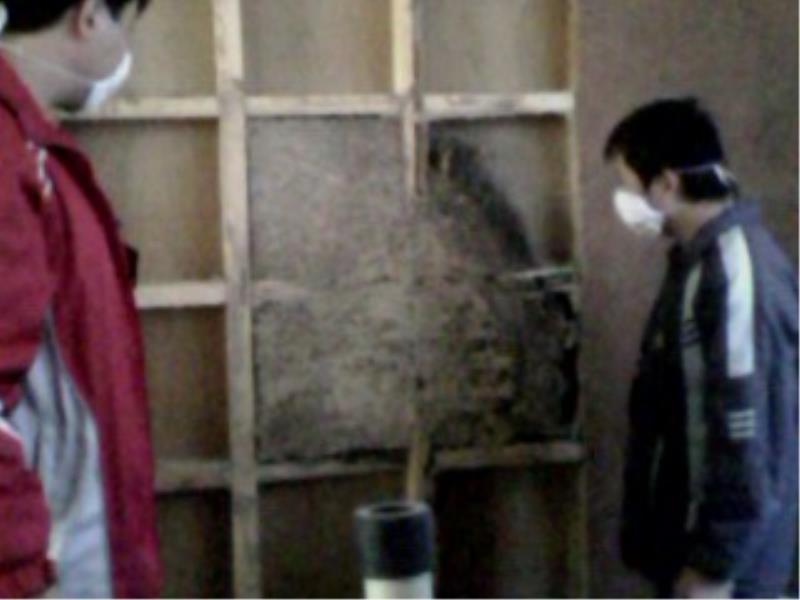 洪濑白蚁防治服务哪里有_白蚁防治公司力荐宏都