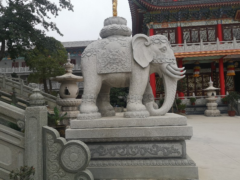广西门口石雕大象厂家