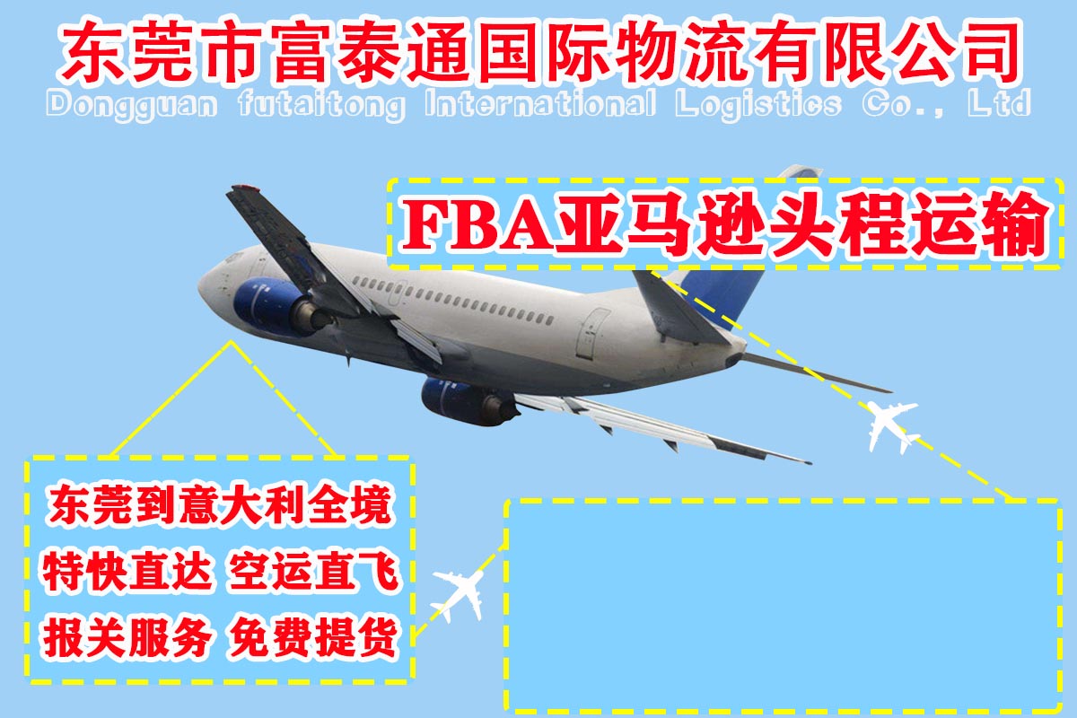 东莞直达意大利FBA头程空运，海运快递直达双清报关