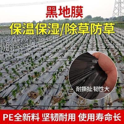 张掖专用地膜生产