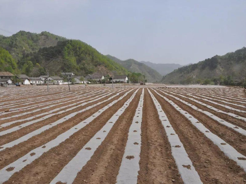 定西专用地膜哪里买