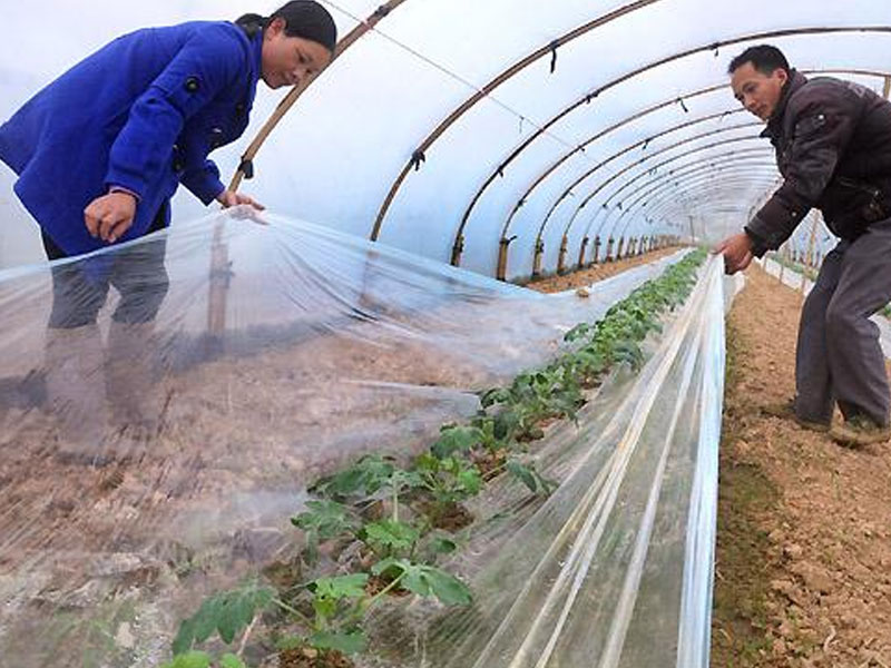 兰州透明式塑料薄膜生产