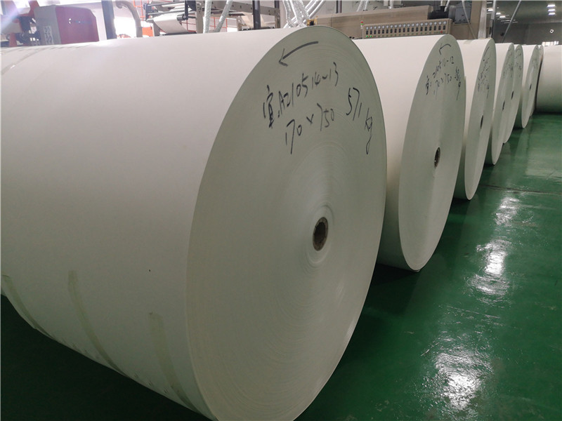 东莞单面淋膜纸生产厂家