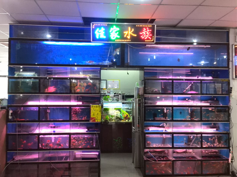 连云港市大型海洋水族馆价位