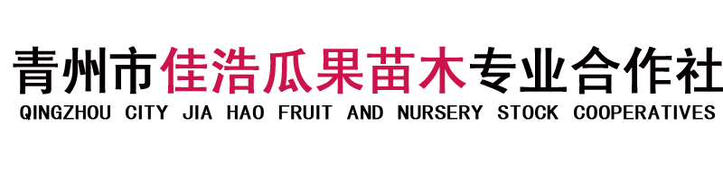 青州市佳浩瓜果苗木专业合作社