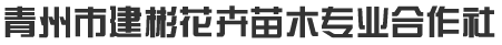 青州市建彬花卉苗木专业合作社