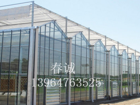 花卉智能温室建造/花卉连栋温室建设/小型温室大棚建造-春诚