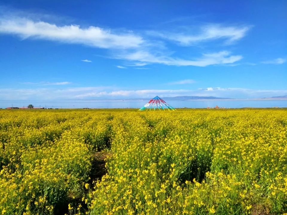 2018，穿藏致远与你驭驾亲征，川藏旅游租车