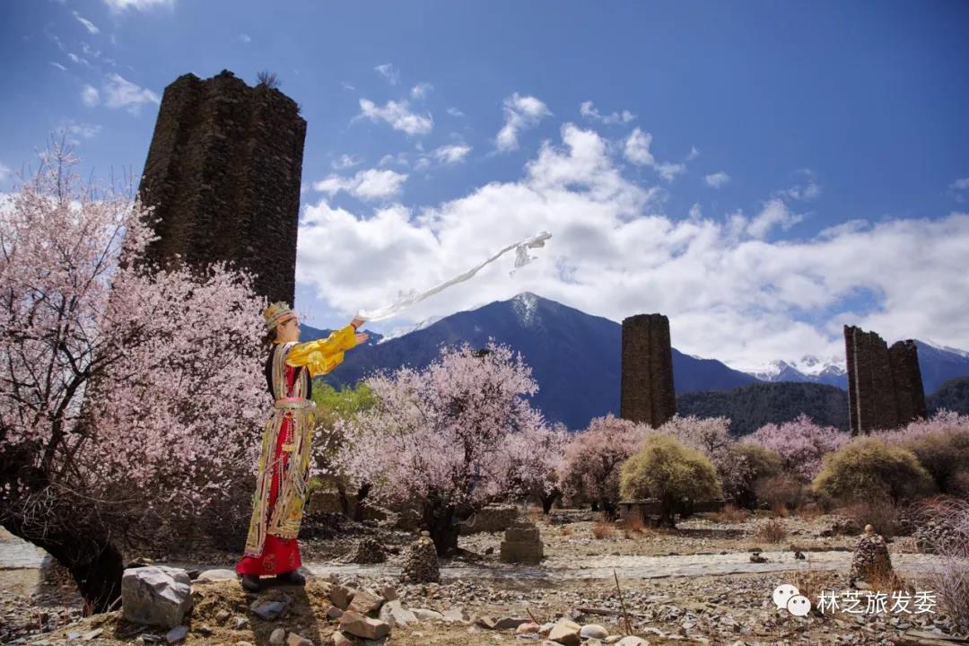 2018年超火爆的林芝旅游赏桃花目的地！拉萨市民周末就能来