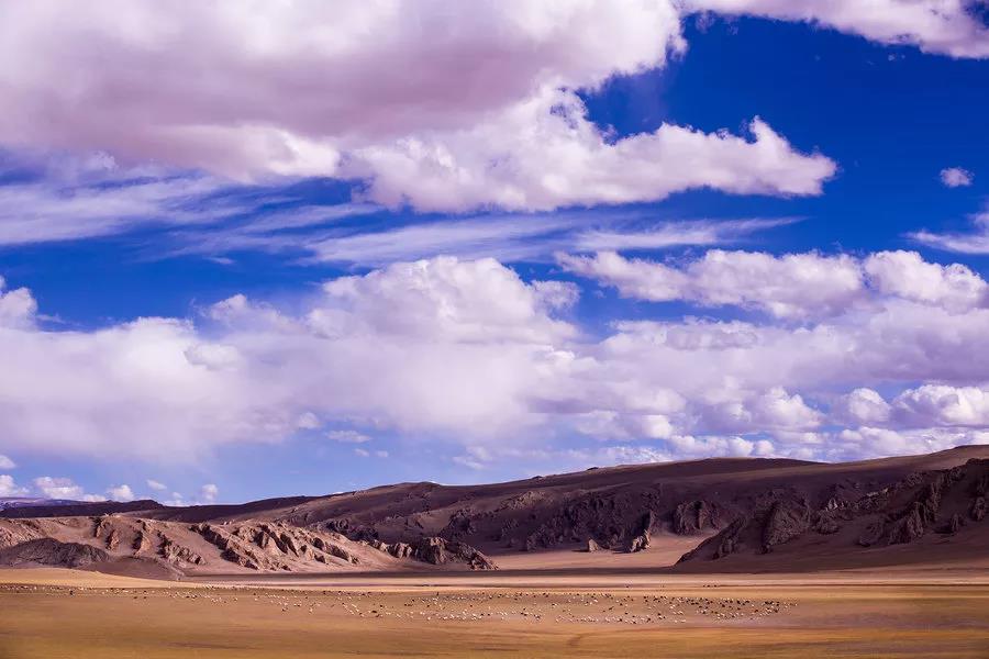 阿里小北线10天个性自驾租车旅游，个性包车旅游服务