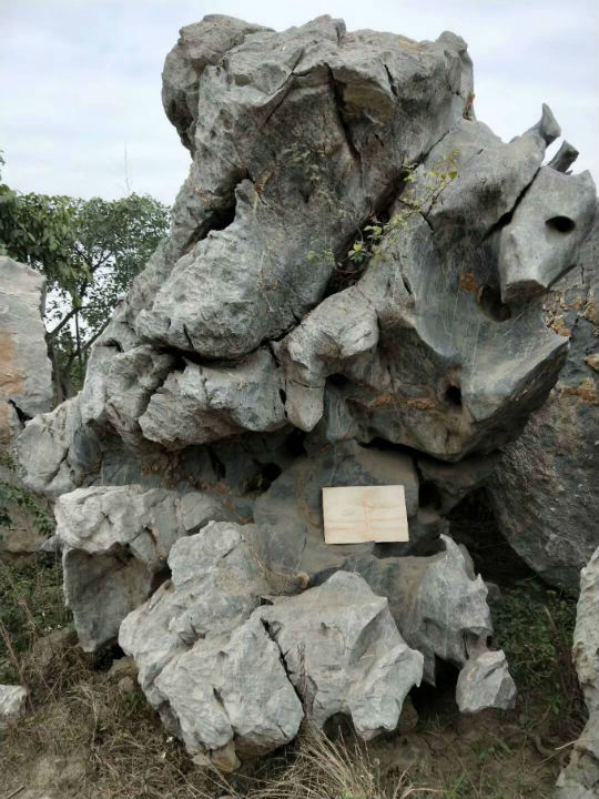 供应太湖石景观石批发，广东价位合理的太湖石供应