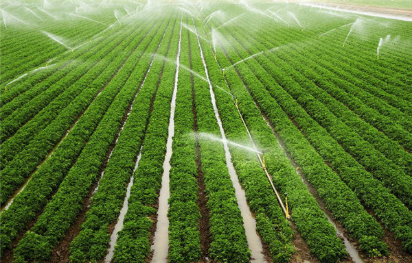 广西节水灌溉设备，喷灌安装工程