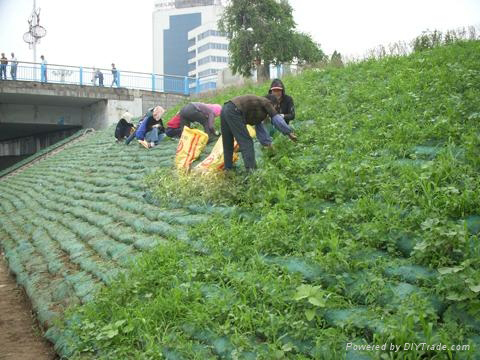 L山体复绿生态袋耐腐蚀抗老化生态袋规格可定做