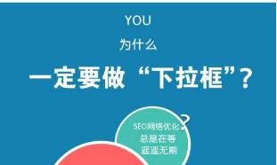 合众易联提供有保障的seo优化推广——seo优化推广案例