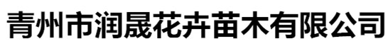 青州市润晟花卉苗木有限公司