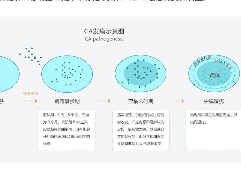 私处疣体不断复发 用派特灵效果怎么样？