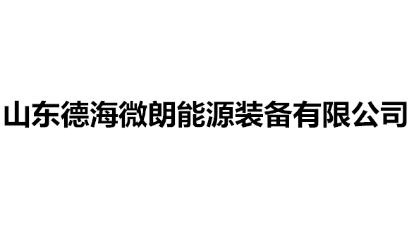 山东德海微朗能源装备有限公司