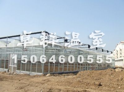 【探清水河】蔬菜温室大棚+养殖大棚建造哪家好？=卓群