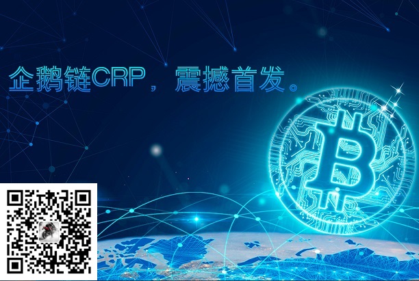 CRP区块链宠物CRP企鹅链CRP数字货币数字货币前景