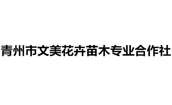 青州市文美花卉苗木专业合作社