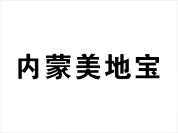 宁夏美地宝地坪装饰工程有限公司