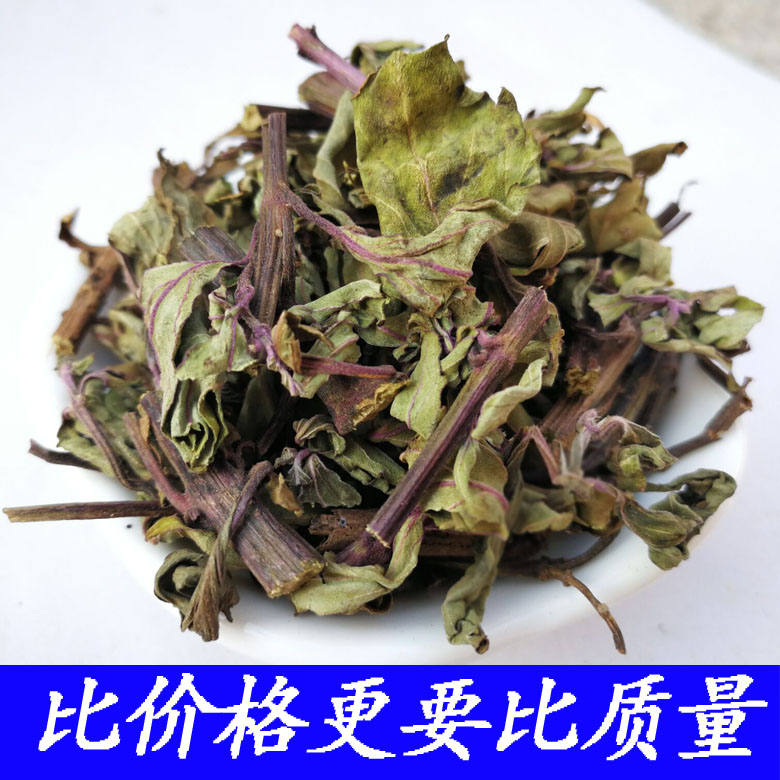 中药材猫须草批发