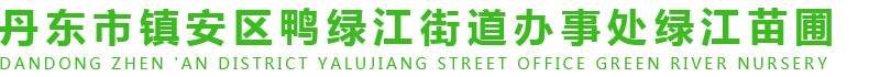 丹东市振安区鸭绿江街道办事处绿江苗圃