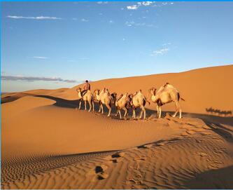 内蒙古沙漠度假咨询电话-上哪找有品质的大众群体旅游景点服务