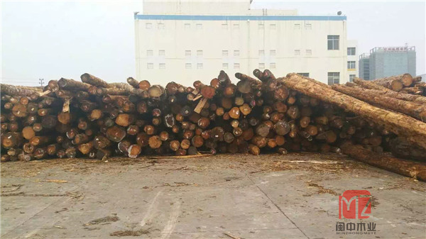 广西进口铁杉原木，铁杉原木供应商
