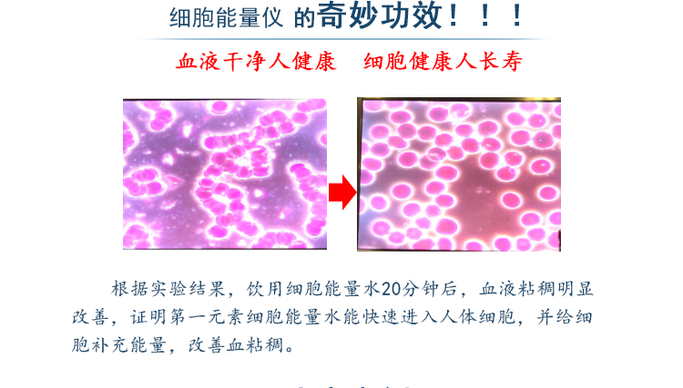 低频共振仪多少钱一台