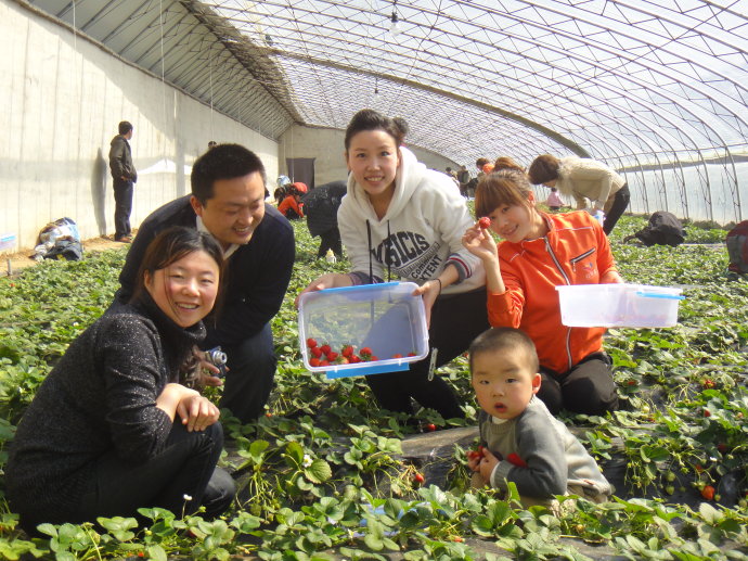 胖哥草莓采摘园-郑州草莓采摘