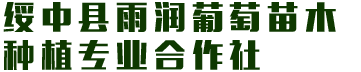 绥中县雨润葡萄苗木种植专业合作社