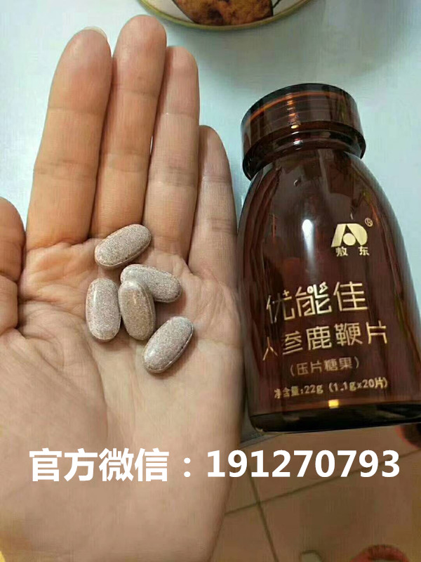 人参鹿鞭片价格