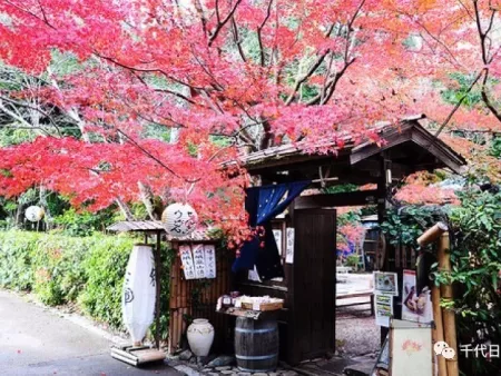 【千代日本留学】相对欧美国家，去日本留学的又是在哪里