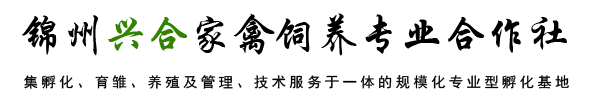 锦州兴合家禽饲养专业合作社