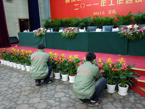 想找好的会议花卉租赁，就来高山锦园园艺场-市北会议花卉租赁公司