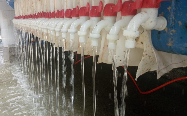 北京污泥脱水压滤机规格