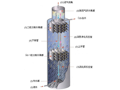 污水生化处理