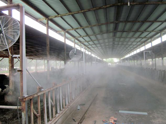广州好用的喷雾除臭设备_厂家供应除臭设备厂家