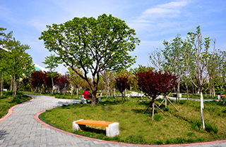 艺术学院-艺术学校哪家好-【青岛黄海学院】