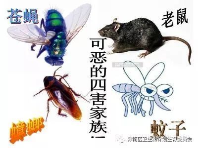 常州溧阳有害生物防治