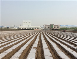 天水农用播种地膜施工