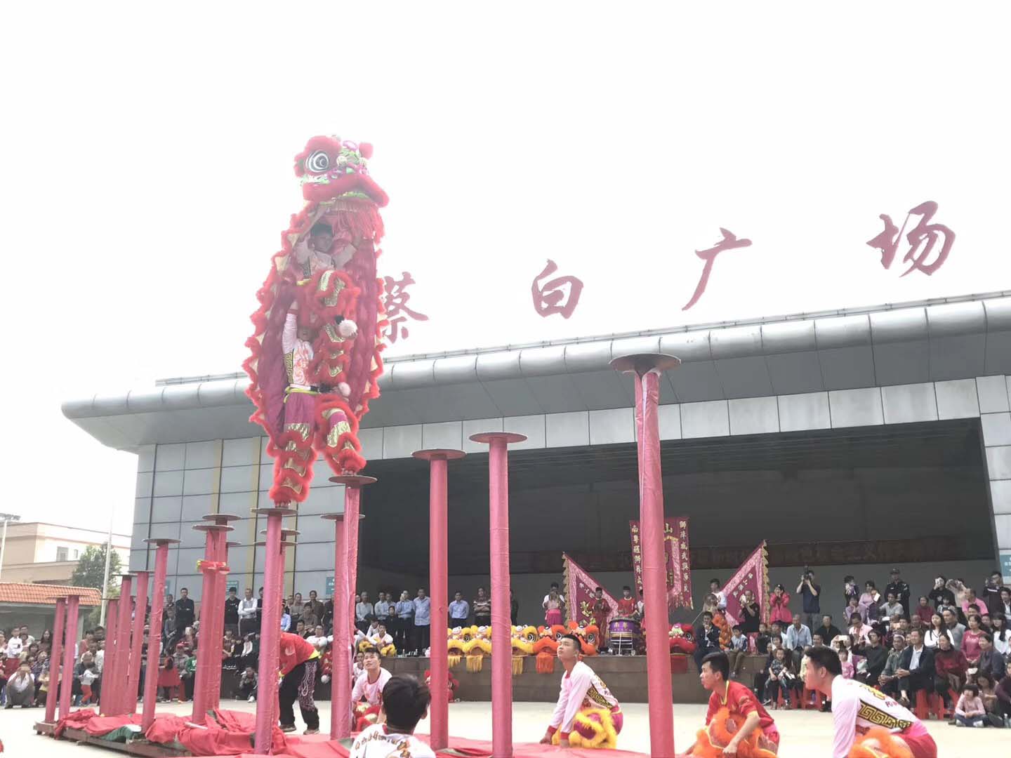 广东佛山醒狮庆典活动开业庆典龙狮表演