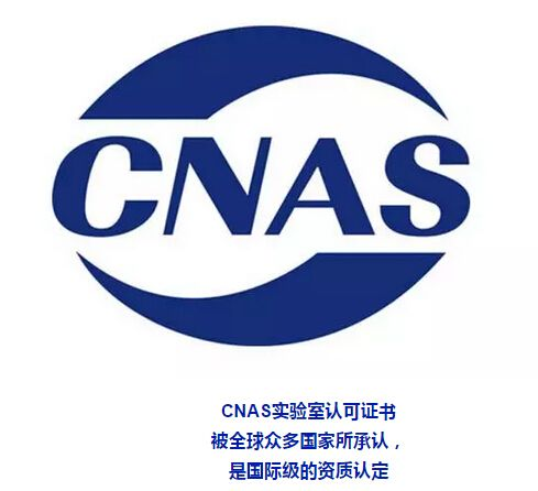 CNAS咨询