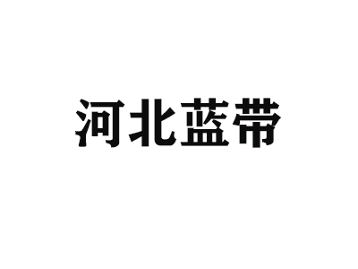 河北蓝带机械制造有限公司