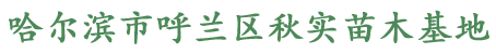 哈尔滨市呼兰区秋实苗木基地