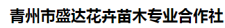 青州市盛达花卉苗木专业合作社