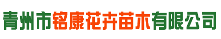 青州市铭康花卉苗木有限公司